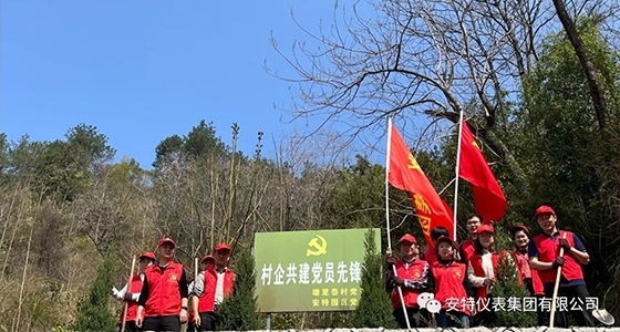 党建强引领，共植先锋林